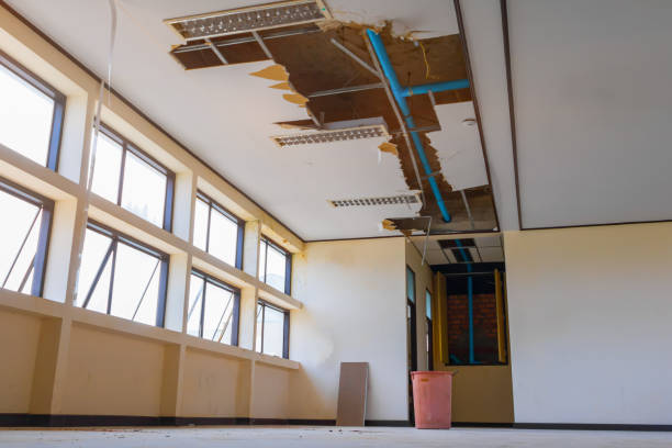 Best Ceiling water damage repair  in Chelsea, MI