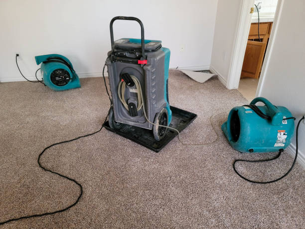 Best Carpet water damage restoration  in Chelsea, MI
