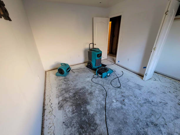 Best Emergency water damage restoration  in Chelsea, MI