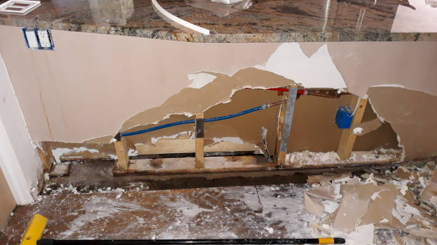Best 24-hour water damage restoration  in Chelsea, MI