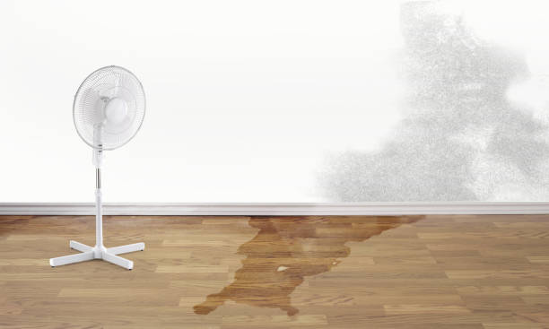  Chelsea, MI Water damage restoration Pros