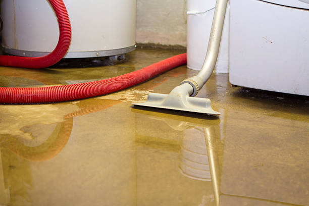 Chelsea, MI Water damage restoration Company
