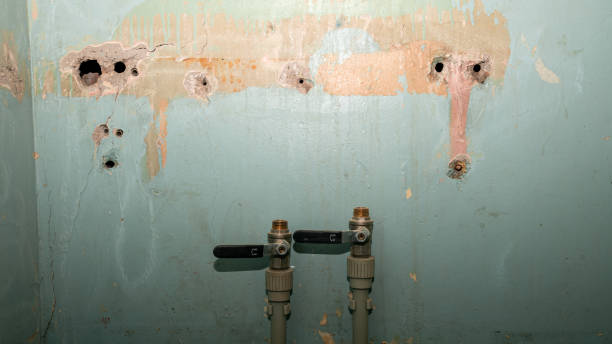 Best Flooded house restoration  in Chelsea, MI