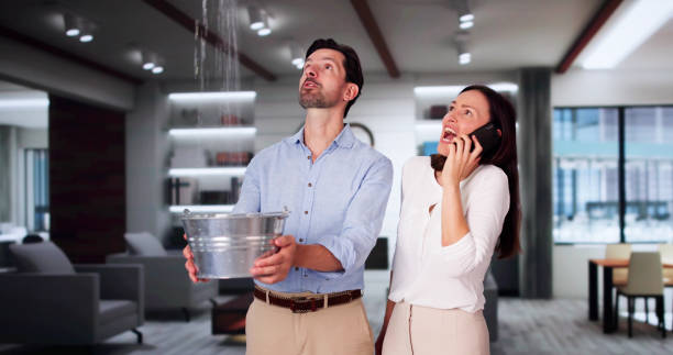 Best Water damage restoration cost  in Chelsea, MI