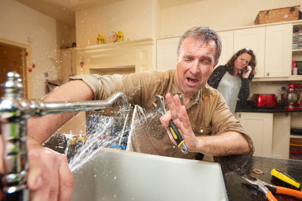 Best Water damage mitigation services  in Chelsea, MI